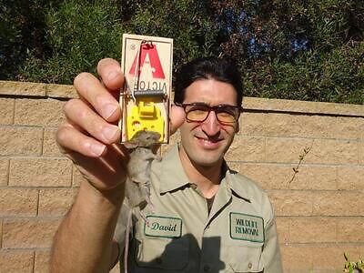 Little Rock pest control